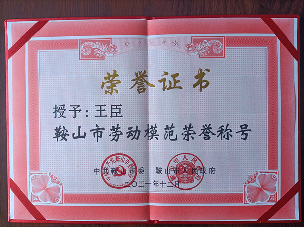 王臣被授予鞍山市勞動(dòng)模范榮譽(yù)稱(chēng)號(hào)